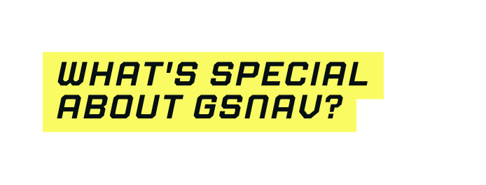 What s special about gsnav